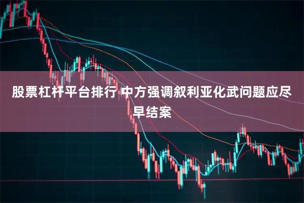 股票杠杆平台排行 中方强调叙利亚化武问题应尽早结案