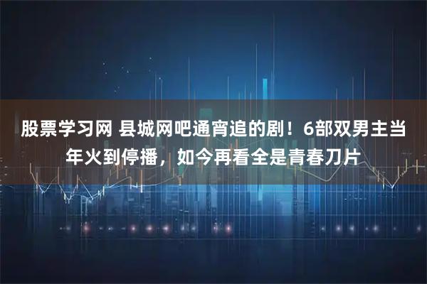 股票学习网 县城网吧通宵追的剧！6部双男主当年火到停播，如今再看全是青春刀片